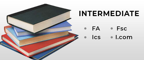 intermediate programs intermediate programs